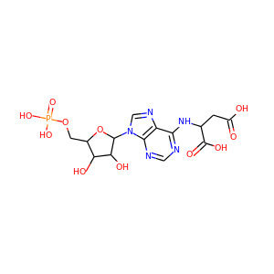 adenylosuccinic acid